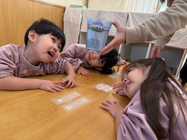 2歳児ひよこ組　おおきくなあれ！