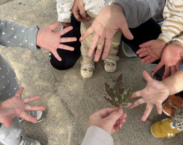 1歳児　たまご組　秋の自然を楽しみました♪